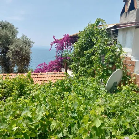 Aysen Ablanin Yeri Muğla