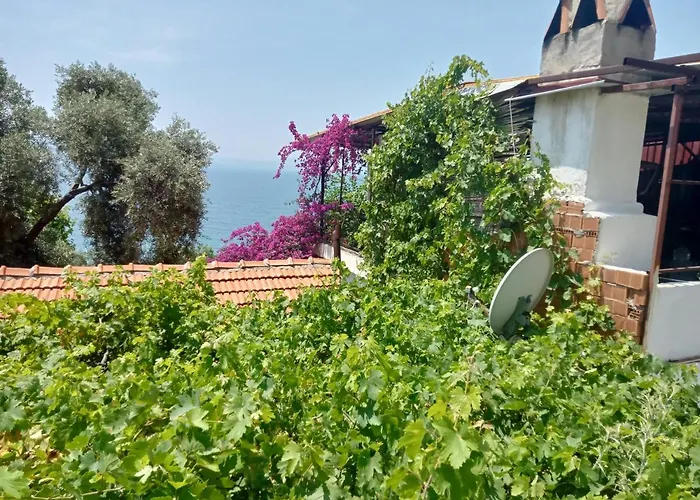 Aysen Ablanin Yeri Μούγκλα